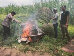 Sidoarjo, 1 Februari 2026** — Menanggapi pemberitaan yang dimuat oleh situs *jejakkasus.info* dengan judul *“Diduga Kebal Hukum, Kalangan Sabung Ayam di Jatikalang Prambon Kembali Beroperasi”*, pihak kepolisian sektor Prambon bersama tokoh masyarakat menyampaikan bantahan tegas.