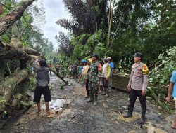 ‍Sinergi TNI-Polri dan Warga: Gerak Cepat Babinsa Normalkan Akses Jalan Pasca Banjir di Banjit