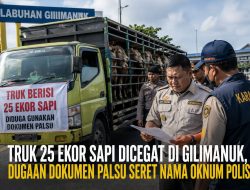 Diduga Gunakan Dokumen KH-1 Bermasalah, Truk Angkut 25 Ekor Sapi Dicegat di Gilimanuk