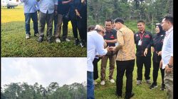 GIBRAN JATIM Serahkan Pohon anggor Brazil Kepada POLRES Jombang Sambut hari BAYANGKARA  ke – 80